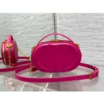Dior Signature Oval Camera Bag Pink