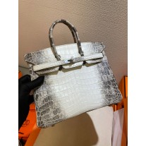 Hermes Birkin 25cm Matte Alligator Crocodile Silver Hardware