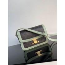 Celine Teen Triomphe Bag Triomphe Canvas Calfskin Green