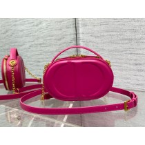 Dior Signature Oval Camera Bag Pink