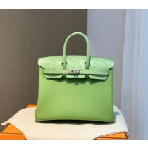 Hermes Birkin 25 Togo Touch Palladium Hardware Peanut