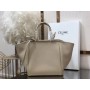 Celine Grained Calfskin Small Folded Cabas White
