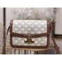 Celine Teen Triomphe Bag 22CM Triomphe Canvas Calfskin White