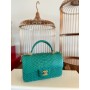 Chanel Mini Flap Handbag Top Handle AS2431 Python Green 