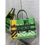 Dior Book Tote Small Yellow Green