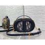 Dior Signature Oval Camera Bag Oblique Print