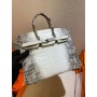 Hermes Birkin 25cm Matte Alligator Crocodile Silver Hardware